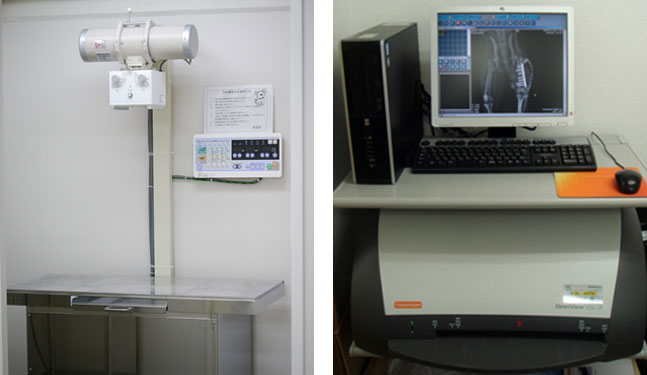 X線撮影装置と処理装置